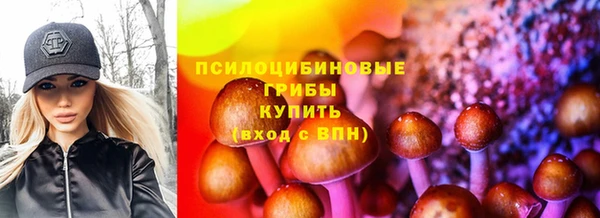 ПСИЛОЦИБИНОВЫЕ ГРИБЫ Бугульма